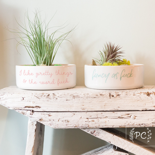 Prairie Chick Prints "I like pretty things and the word fuck" Planter